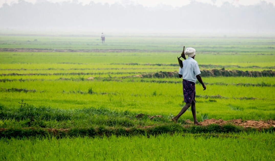 farmer in field